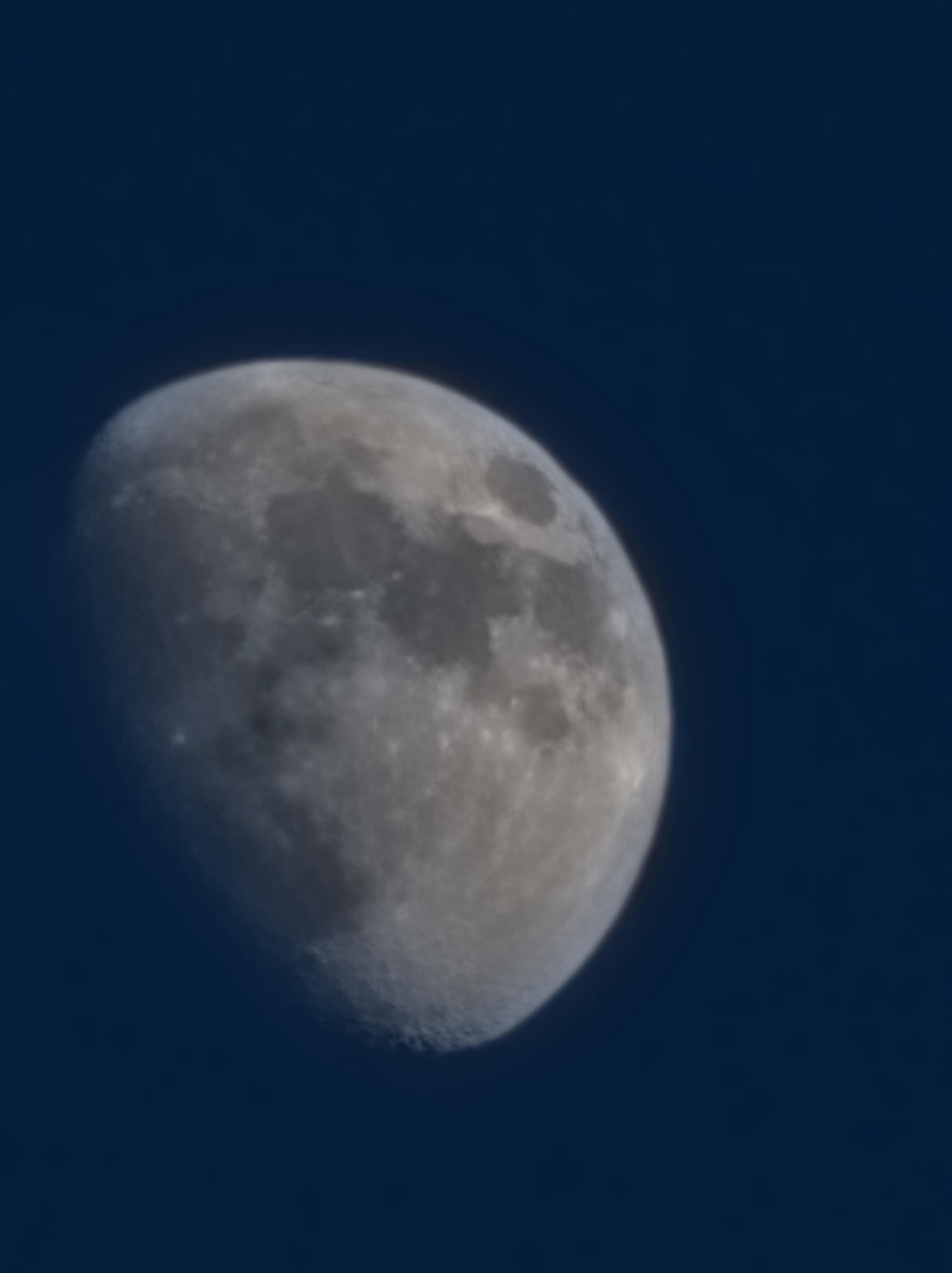 The Isbell Hillside (Right outside my door)